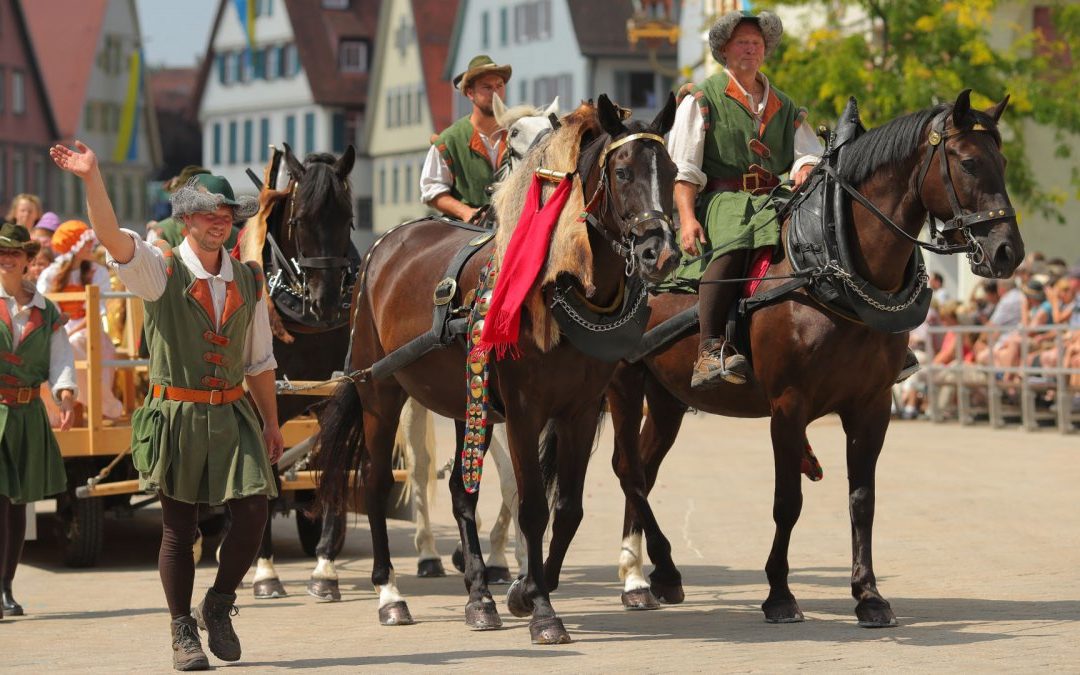 Schützeneinteilung der Reiter 2023