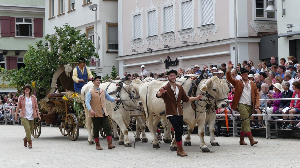Historischer Festzug Bauernschützen
